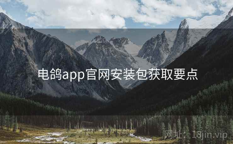 电鸽app官网安装包获取要点 电鸽app官网安装包获取要点