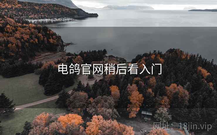 电鸽官网稍后看入门