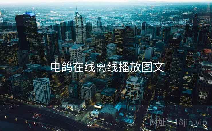 电鸽在线离线播放图文