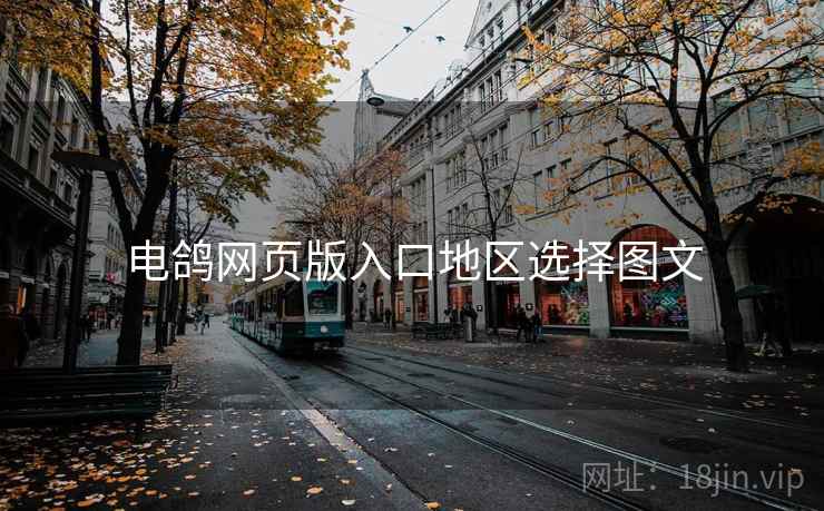 电鸽网页版入口地区选择图文