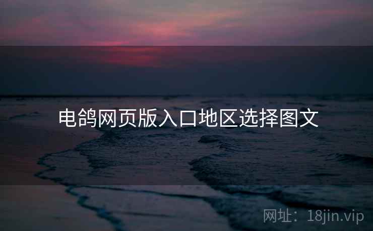 电鸽网页版入口地区选择图文