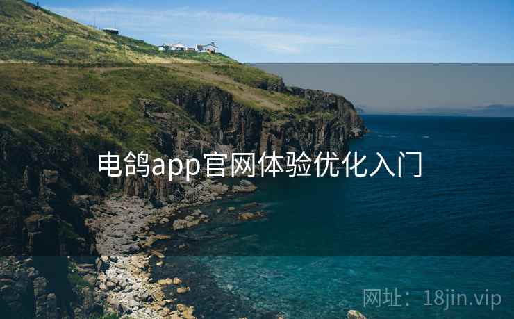 电鸽app官网体验优化入门