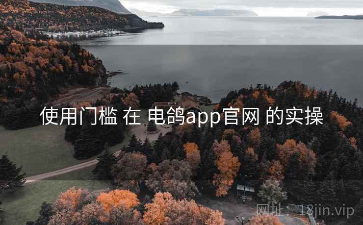 使用门槛 在 电鸽app官网 的实操