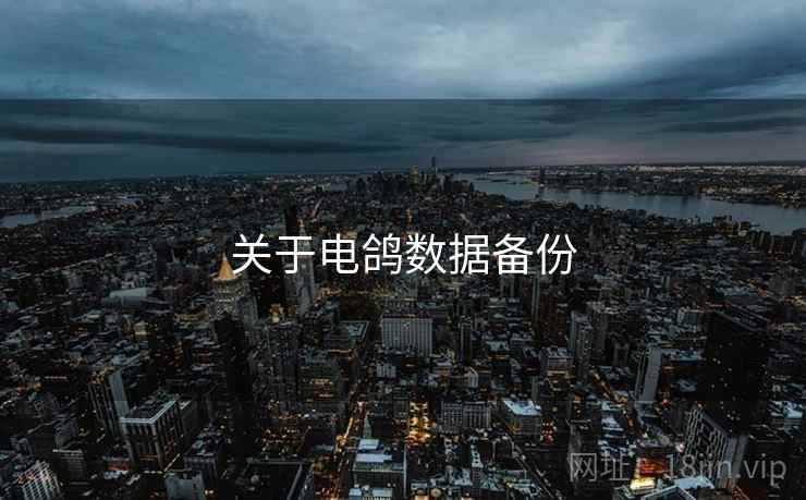 关于电鸽数据备份
