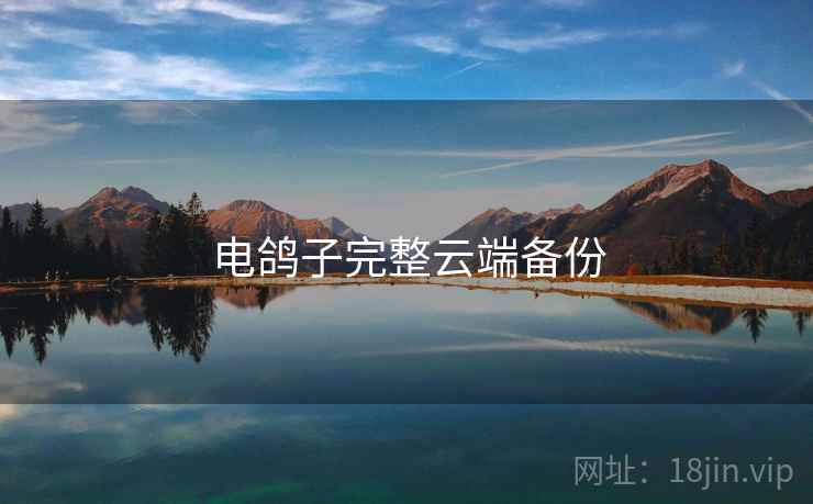 电鸽子完整云端备份