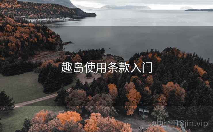 趣岛使用条款入门