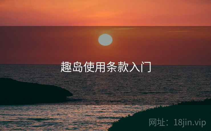 趣岛使用条款入门