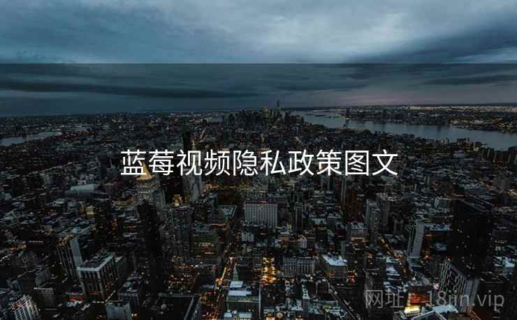 蓝莓视频隐私政策图文