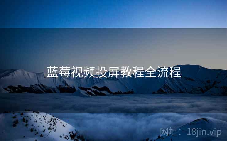 蓝莓视频投屏教程全流程