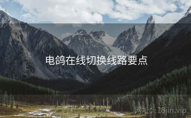 电鸽在线切换线路要点
