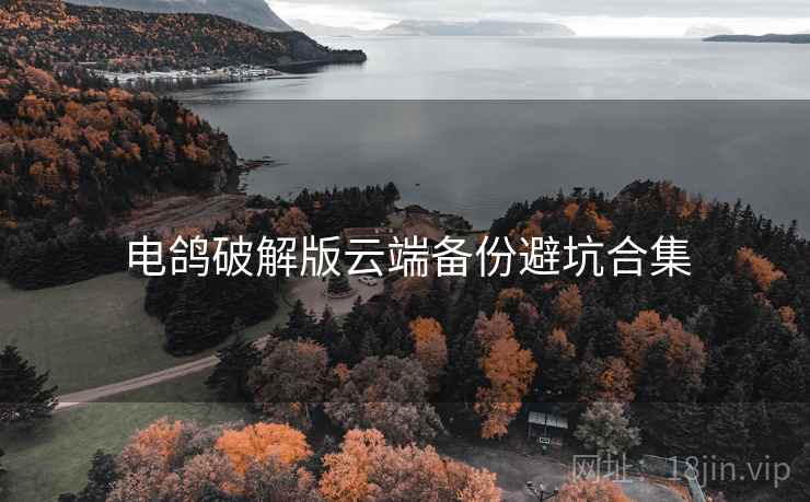 电鸽破解版云端备份避坑合集