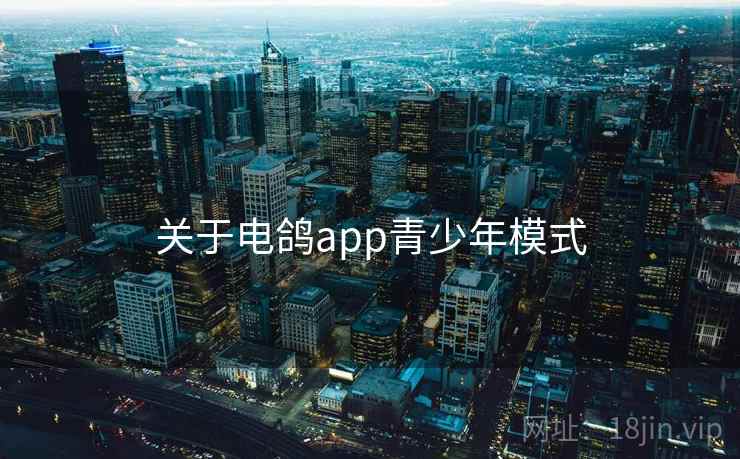 关于电鸽app青少年模式