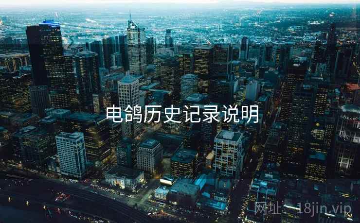 电鸽历史记录说明