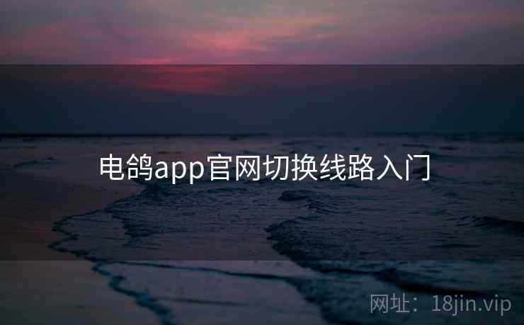 电鸽app官网切换线路入门