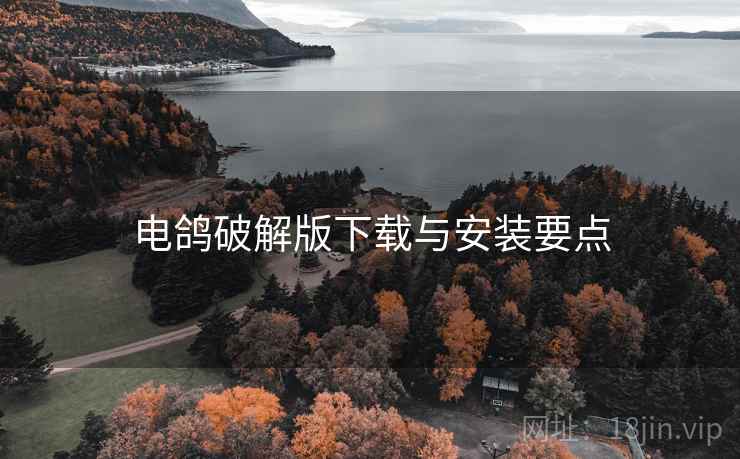 电鸽破解版下载与安装要点