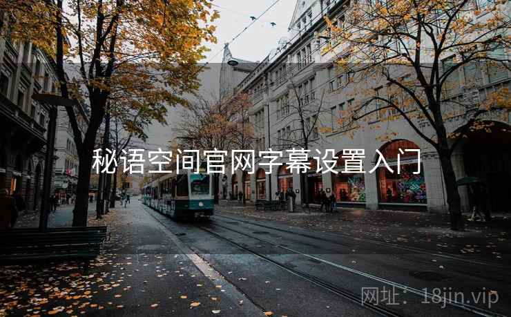 秘语空间官网字幕设置入门