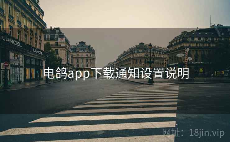 电鸽app下载通知设置说明