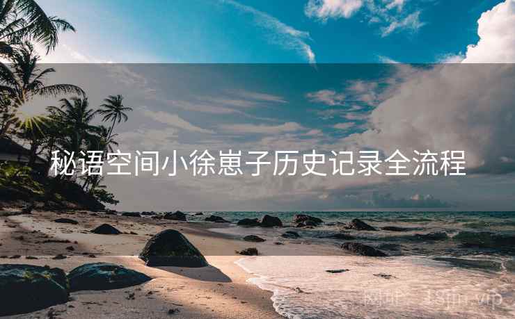 秘语空间小徐崽子历史记录全流程