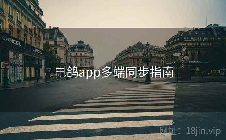 电鸽app多端同步指南